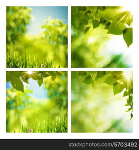 Set of assorted summer seasonal backgrounds for your design