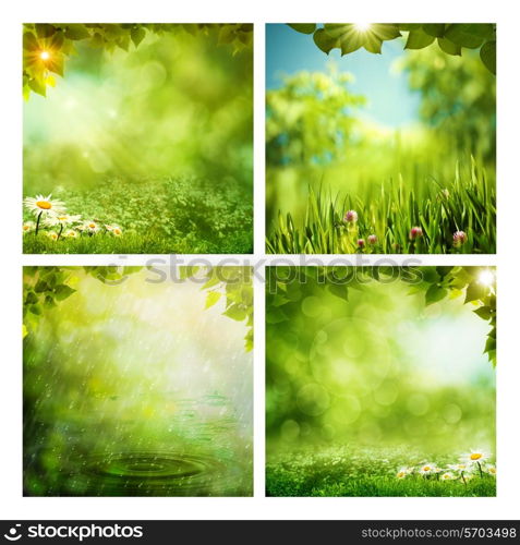 Set of assorted summer seasonal backgrounds for your design