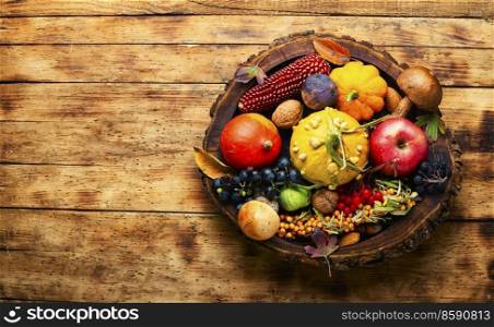 Set of autumn fruits, vegetables and berries.Space for text. Autumn harvest set