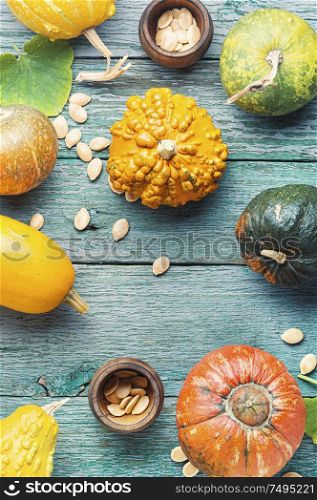 Set of autumn pumpkins on old wooden table.Autumn symbol. Symbol autumn pumpkins