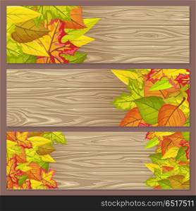 Set of Autumn Sale Flyers on Wooden Background. Set of autumn sale flyers on wooden background. Final thanksgiving day sale. Autumn sale concept. Sale element. Special offer. Discount price poster. Foliage leaves on piece of wood. Vector
