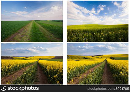 Set of beautiful countryside landscape