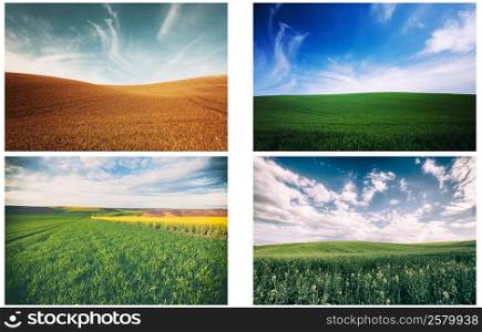Set of beautiful nature field landscapes