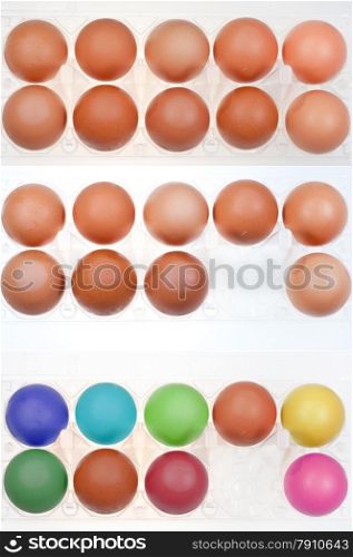 set of brown chicken eggs in holders