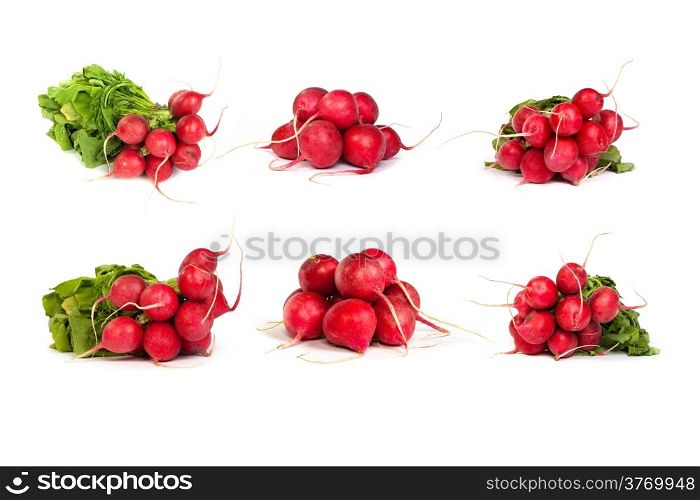 set of bunch of fresh radishes on white with soft shadow.