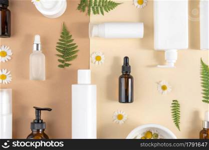 Set of care cosmetics. Various bottles, tubes with cosmetic, chamomile flowers, fern leaves on a beige and brown background. Beauty concept. Top view Flat lay.. Set of care cosmetics. Various bottles, tubes with cosmetic, chamomile flowers, fern leaves on a beige and brown background. Beauty concept. Top view Flat lay