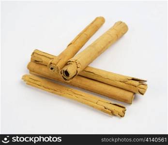 Set of Ceylon Cinnamon (Cinnamomum verum) sticks placed diagonally with one set off in front, and two placed squarely on top of the others; focus on front end of center sticks.