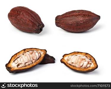 set of cocoa pod on a isolated white background. set of cocoa pod