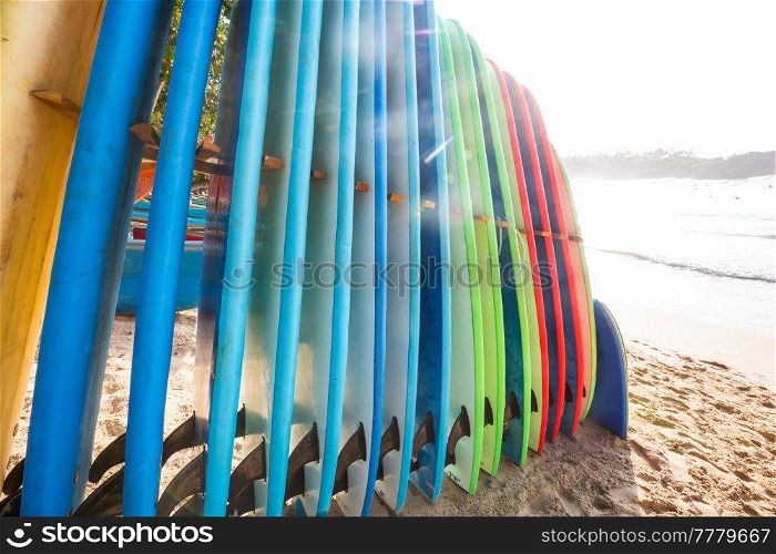 Set of different color surf boards in a stack by ocean in Sri Lanka