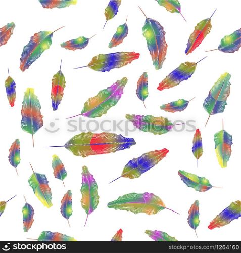 Set of Different Colorful Feathers Seamless Pattern Isolated on White Background.. Set of Different Colorful Feathers Seamless Pattern Isolated on White Background
