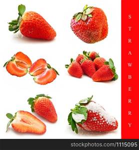 set of different strawberry images over white background