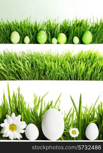 Set of easter eggs in fresh green grass isolated on white background