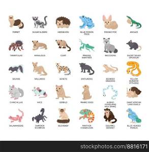 Set of Exotic pets thin line icons for any web and app project.