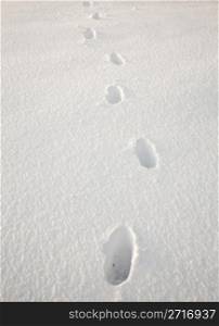 Set of footsteps disappearing into the distance in deep sidelit snow