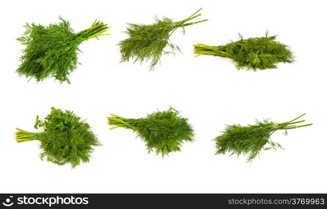 set of Fresh branches of green dill and Parsley tied isolated on white background.