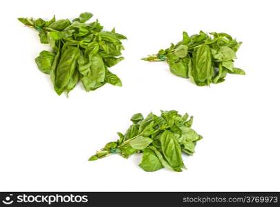 set of Fresh green basil leaves isolated on a white background