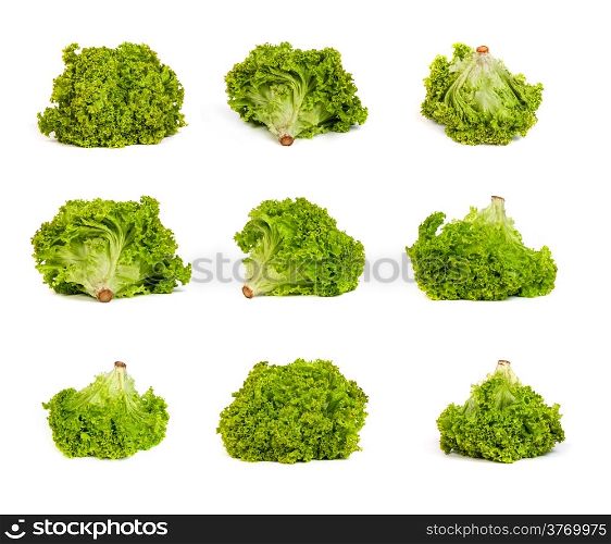 set of Fresh Green Lettuce isolated on a white background