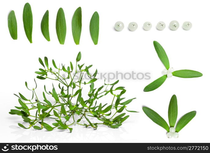 set of fresh green mistletoe with berries isolated on white background