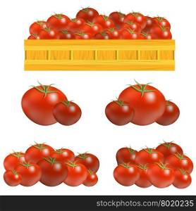 Set of Fresh Red Tomatoes Isolated on White Background. Set of Fresh Red Tomatoes