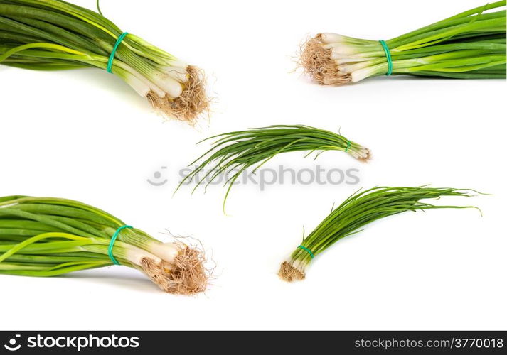 set of Fresh scallions isolated on a white background with soft shadow.