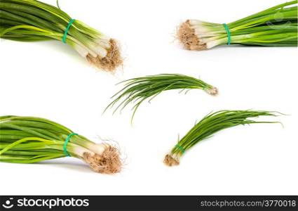 set of Fresh scallions isolated on a white background with soft shadow.