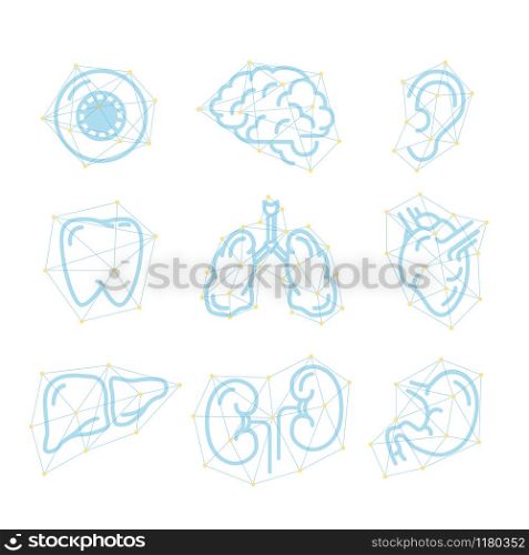 Set of futuristic outline icons of human organs isolated on white. Futuristic outline icons of human organs on white