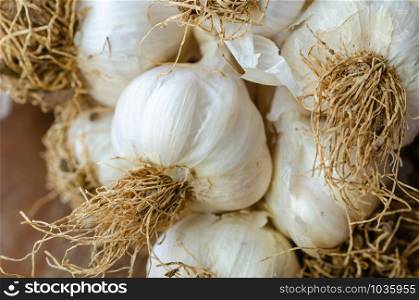 Set of garlic on wooden board