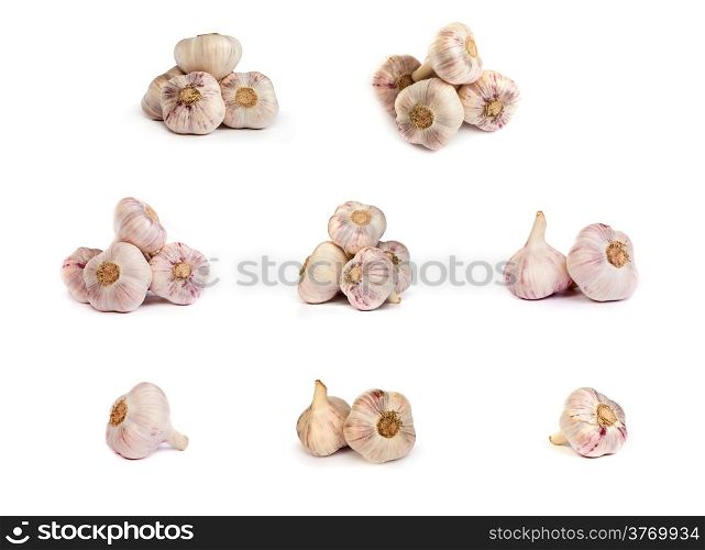 set of garlics . A heads of garlics isolated on a white background