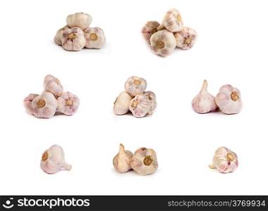 set of garlics . A heads of garlics isolated on a white background