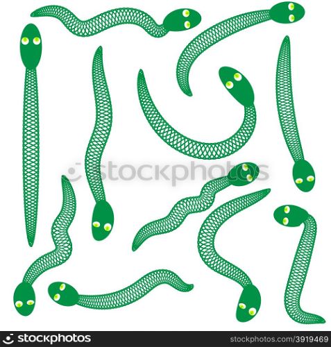 Set of Green Snakes Isolated on White Background. Green Snakes