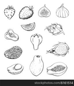 Set of hand drawn tropical fruits. Black and white pencil sketch.