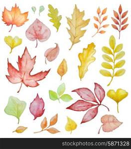Set of hand drawn watercolor autumn leaves