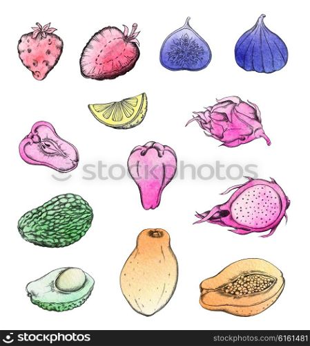 Set of hand drawn watercolor tropical fruits.