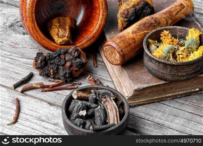 Set of healing herbs. Medicinal herbs of folk medicine comfrey,birch mushroom and calendula