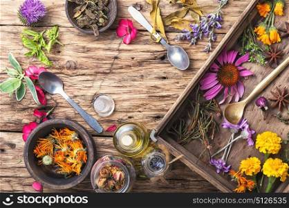 set of herbs, plants
