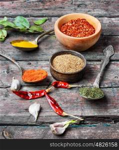 Set of hot condiment. large set spicy spices in spoons on wood background