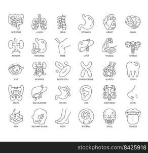 Set of Human Organs 1 thin line icons for any web and app project.