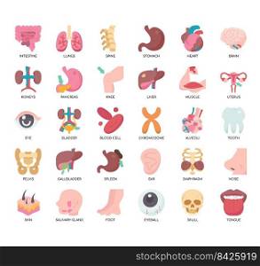 Set of Human Organs 1 thin line icons for any web and app project.