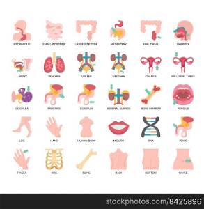 Set of Human Organs 2 thin line icons for any web and app project.