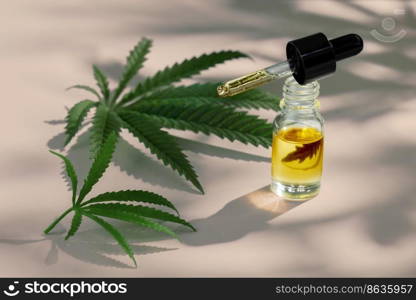 Set of marijuana features with CBD oil product on glass bottle with dropper lid, hemp leaf and dry bud, hemp leaf and bud arranged on empty background. Cannabis product concept.. Set of legalized marijuana features with CBD oil product, hemp leaf and bud.