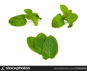 set of mint leaves isolated on a white background