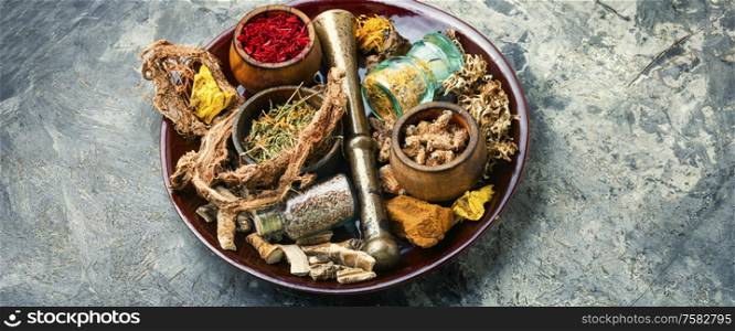 Set of natural herbal ingredients.Ingredient for chinese herbal medicine.Chinese herbal medicine. Medicinal herbs and roots