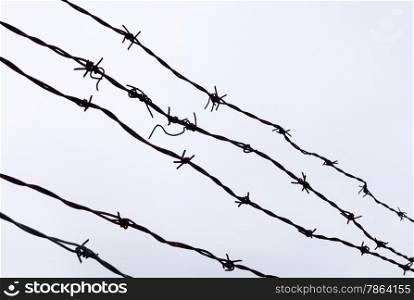 Set of old black barbed wires against white sky.