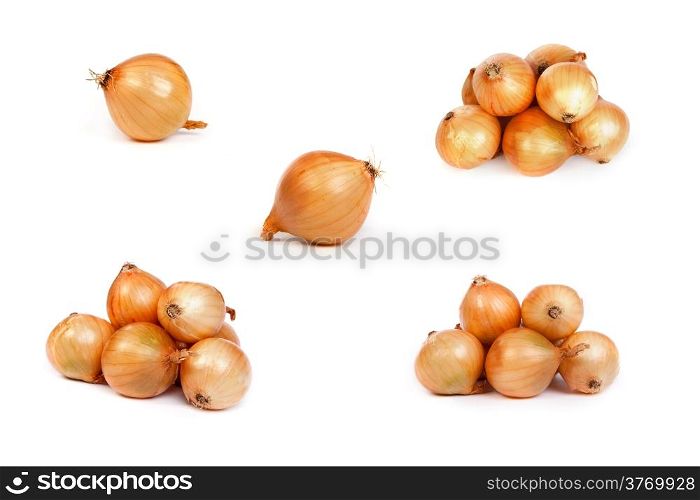set of onions, isolated against white background