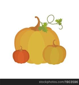Set of orange pumpkins isolated on white background. Cartoon flat style. Vector illustration