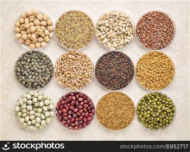 set of organic sprouting seeds and beans in Petri dishes, from top left - garbanzo, red clover, sunflower, radish, French lentils, wheat, broccoli, fenugreek, green pea, adzuki, alfalfa, mung bean.
