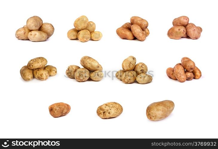 set of potatoes isolated on a white background