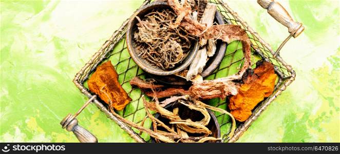Set of roots of medicinal plants. Basket with roots and rhizomes for medicinal purposes