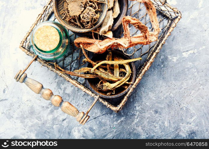 Set of roots of medicinal plants. Basket with roots and rhizomes for medicinal purposes