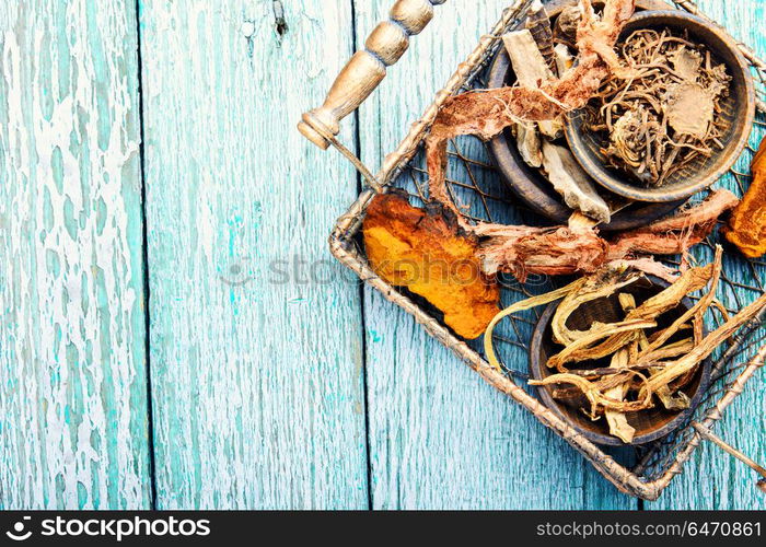 Set of roots of medicinal plants. Basket with roots and rhizomes for medicinal purposes